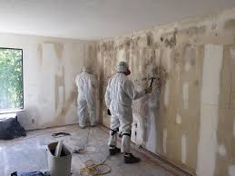 Best Residential Mold Inspection & Testing  in USA